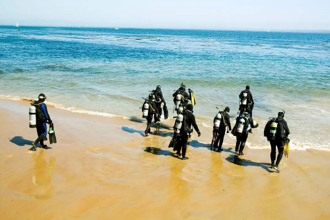 A group of divers in wetsuits and full scuba gear carrying their fins as they walk into the sea from the beach