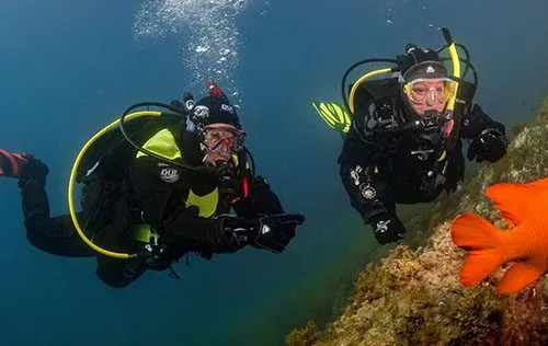 Two scuba divers signalling thumbs up beside a reef