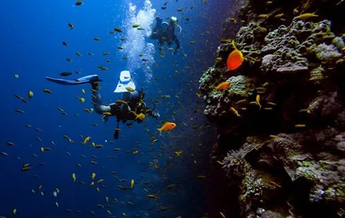 Open4 - Divers Den Dive Shop