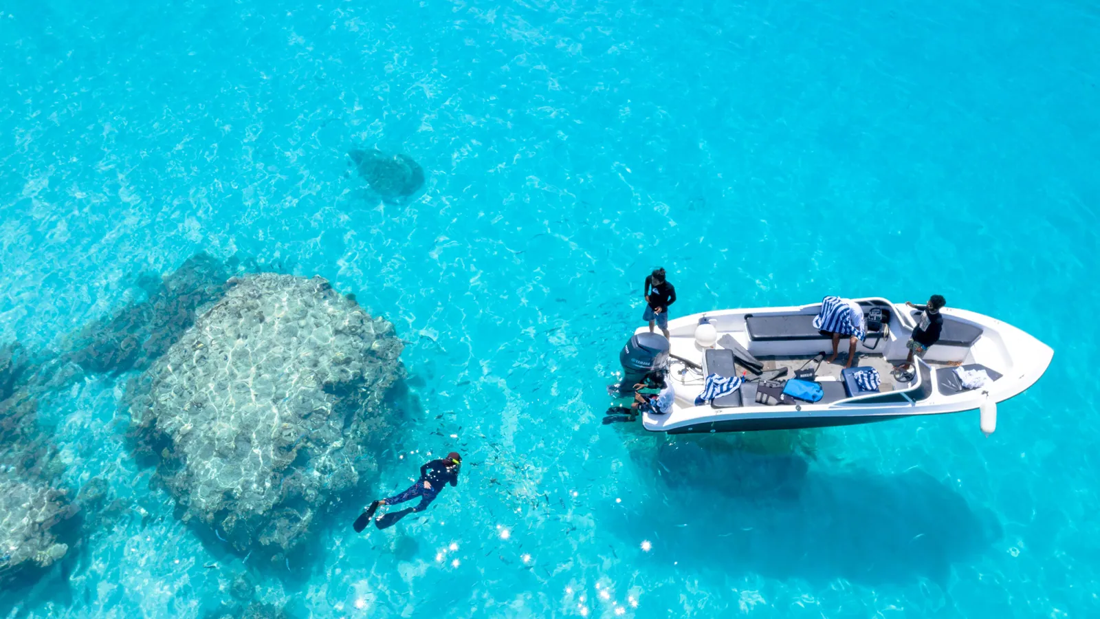 A small dive boat and a diver in the water seen from above
