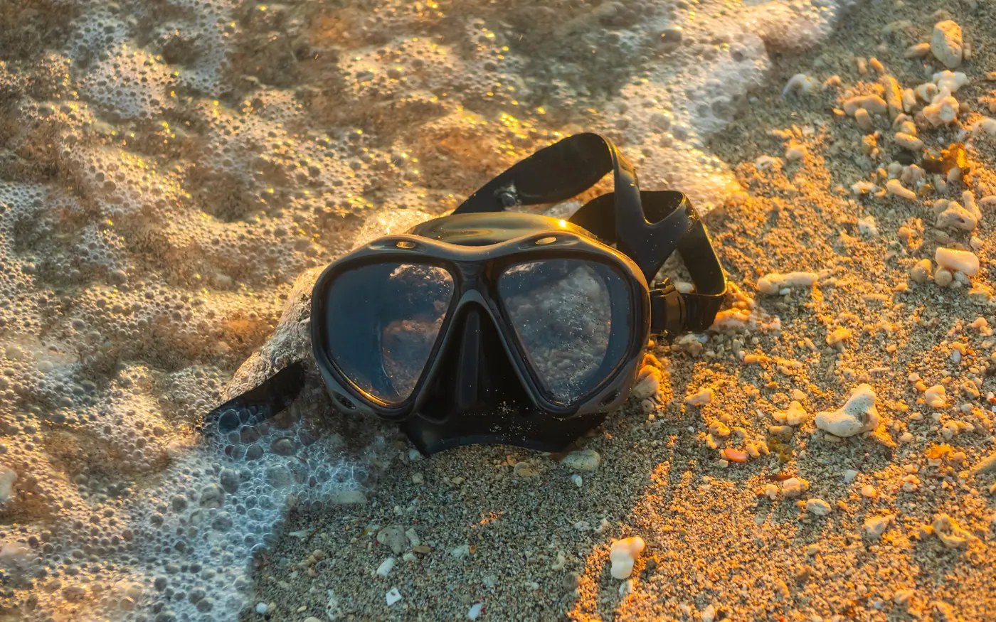 A dive mask lying on wet sand at the water's edge