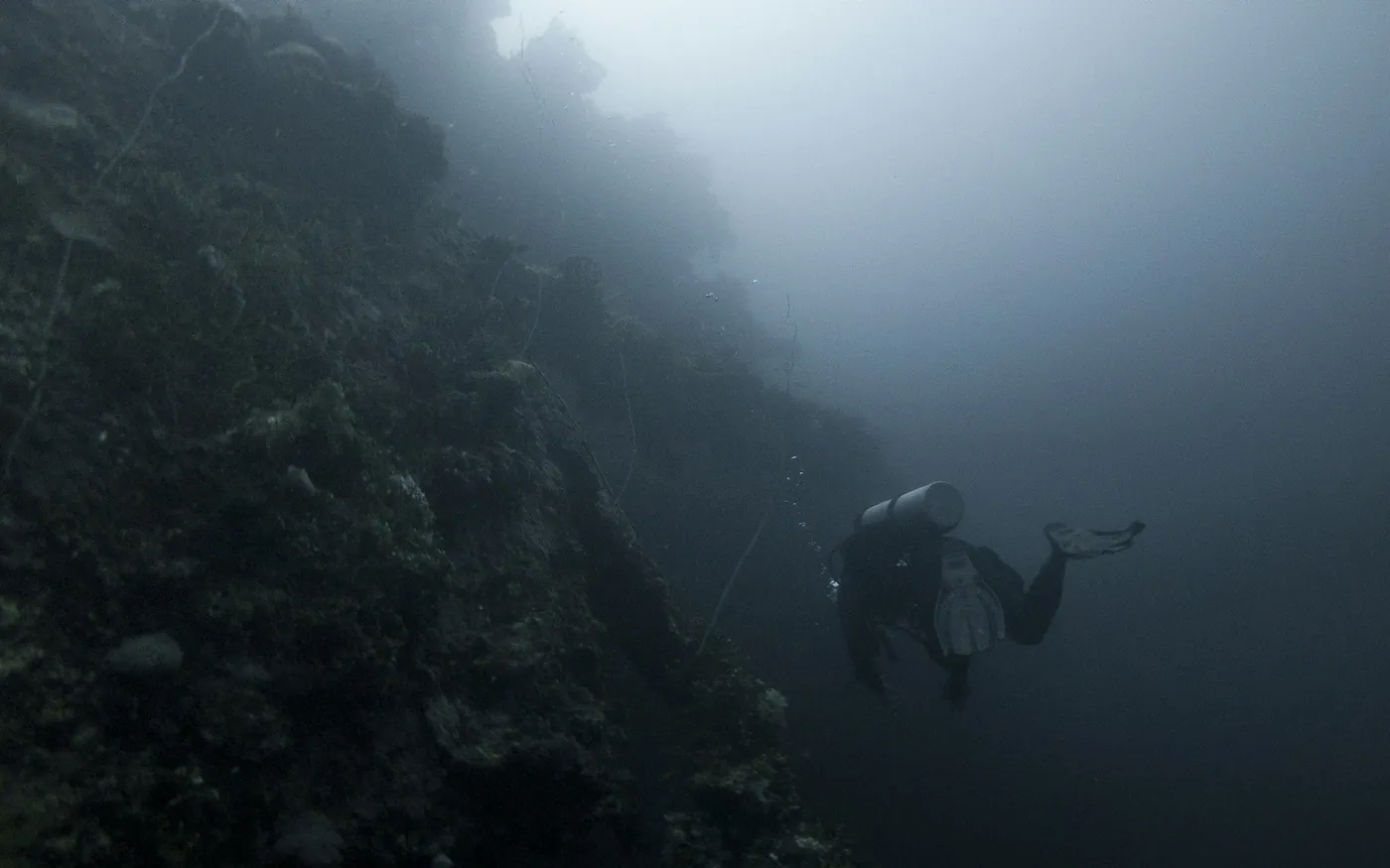 A scuba diver moving along a dark rock wall