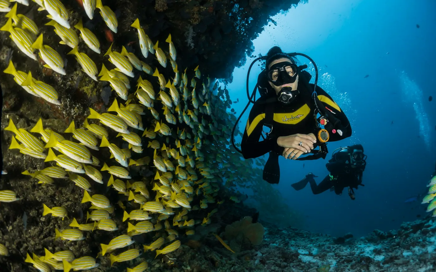 A scuba diver alongside a dense school of yellow snapper