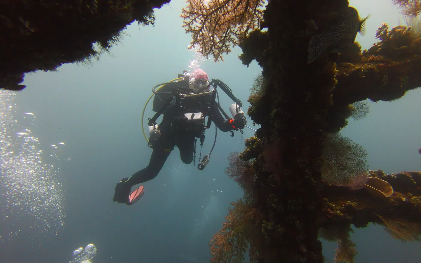 A scuba diver alongside a heavily encrusted underwater structure