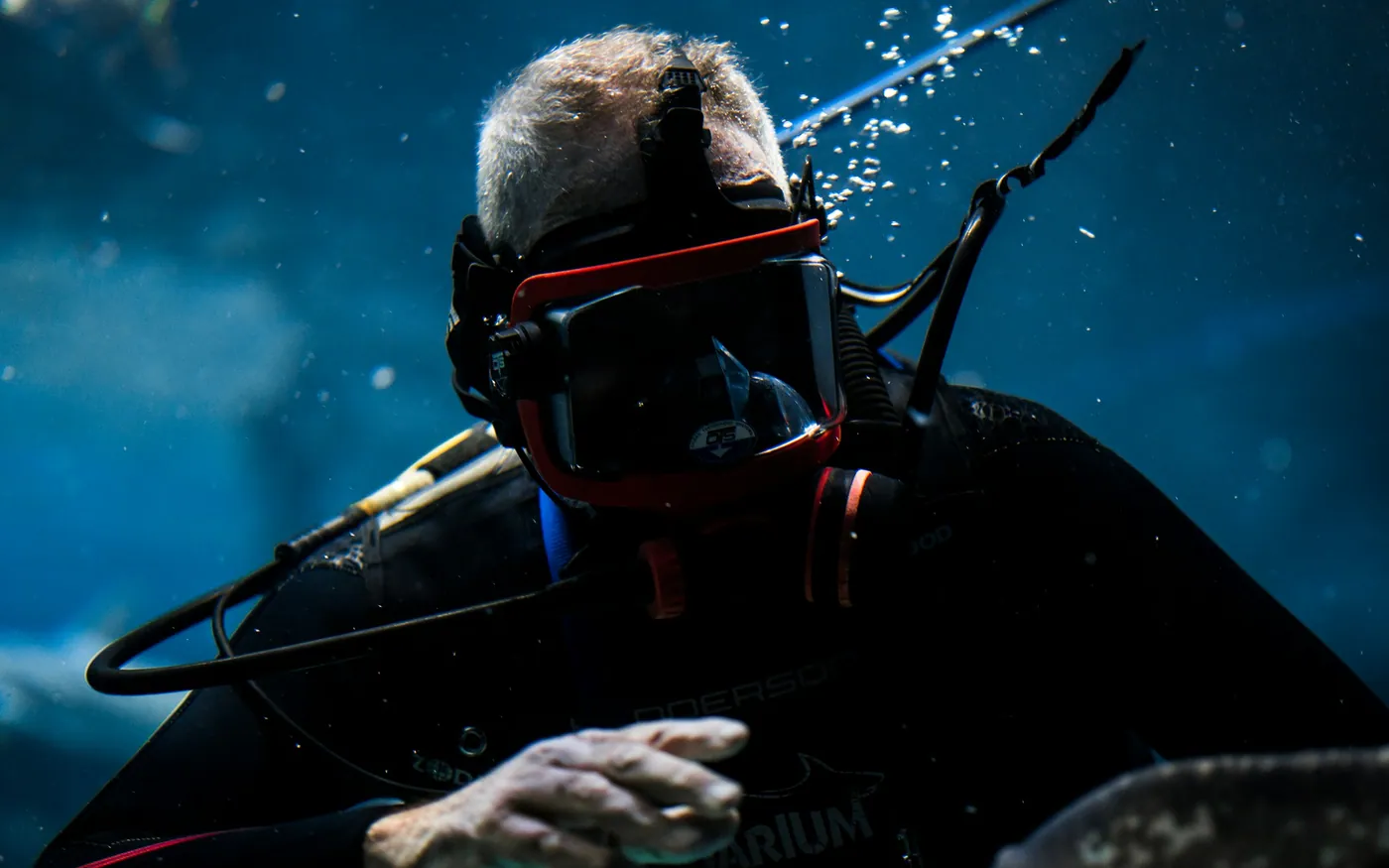 A close view of a diver at the surface wearing a hood and regulator
