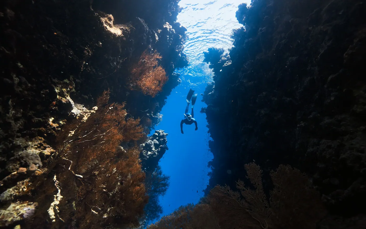 A diver in a narrow gully between weed-covered rock walls