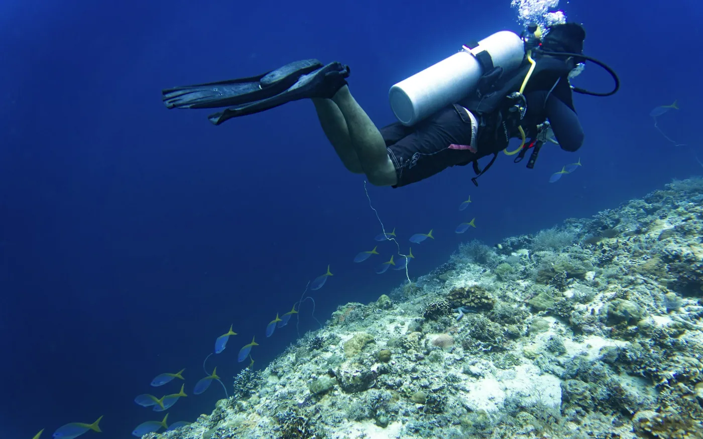 A scuba diver in full equipment swimming over a reef