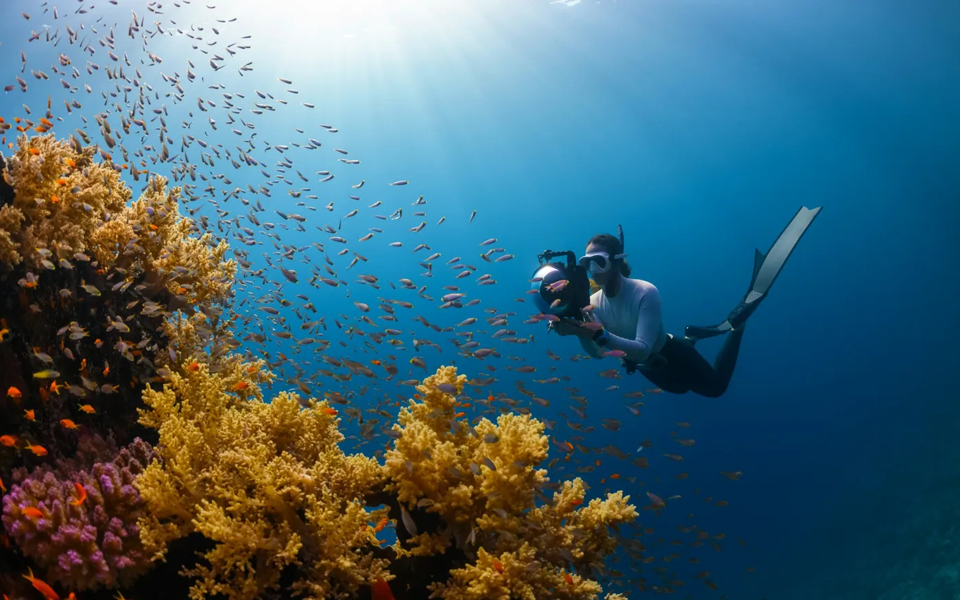 A scuba diver swimming easily above a reef covered in soft growth