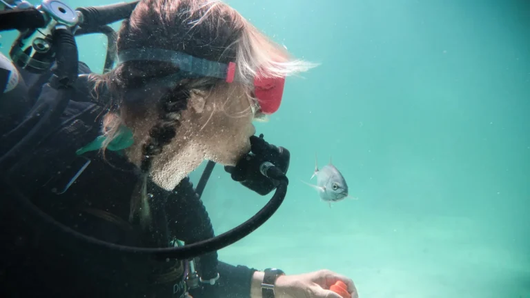 A scuba diver close to the camera in green water, regulator in and mask clear