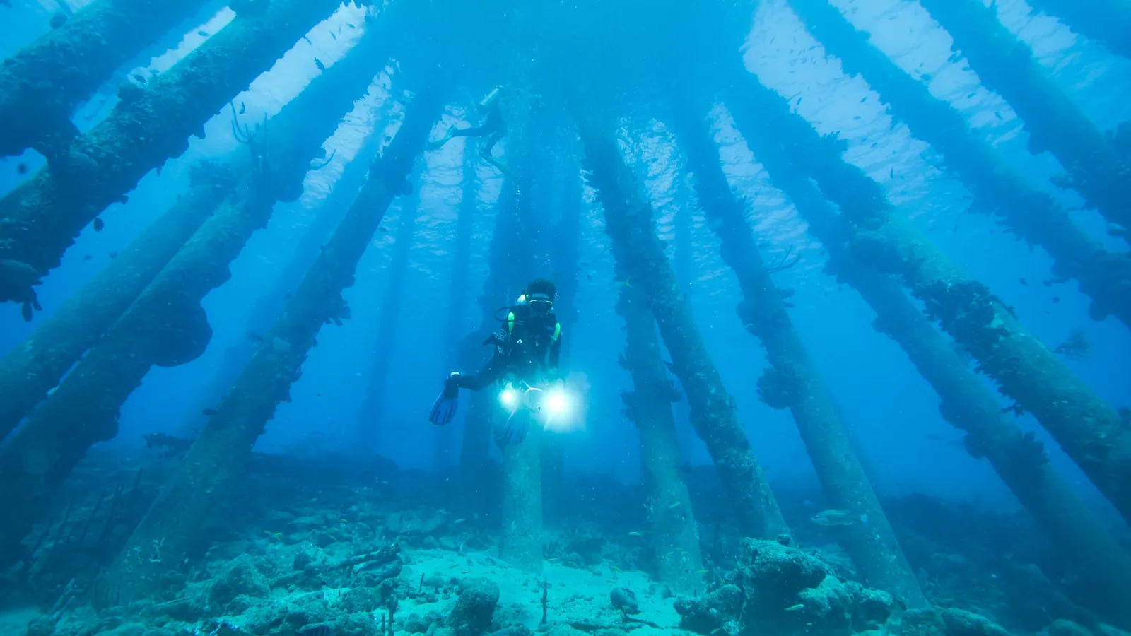 A scuba diver with a light among the pilings beneath a pier