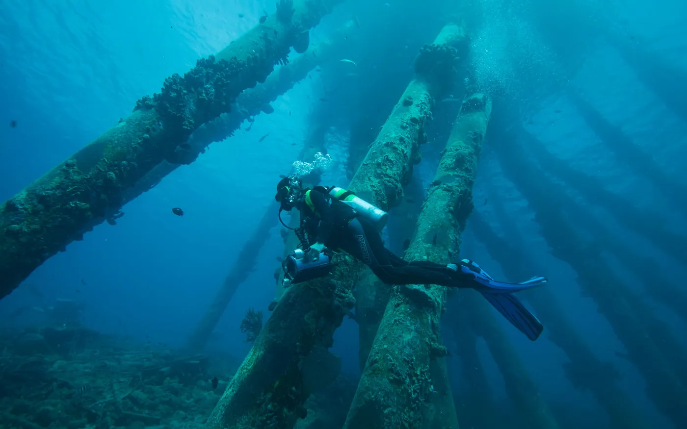 A scuba diver swimming between weed-covered pier pilings