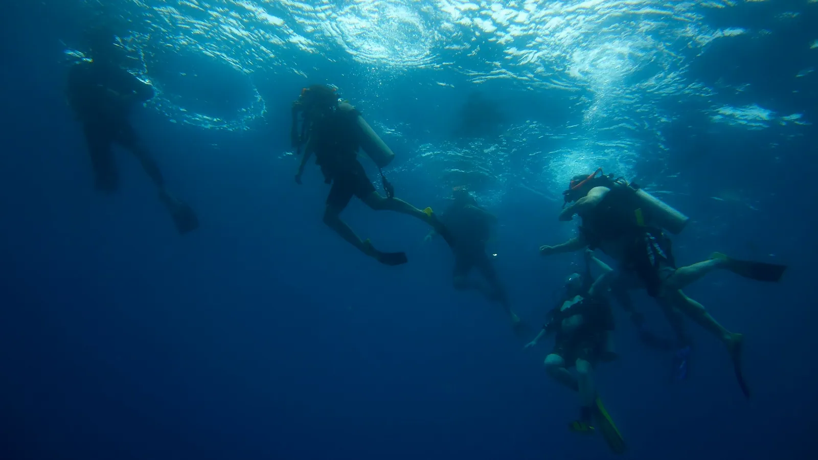 A group of scuba divers descending together into open water