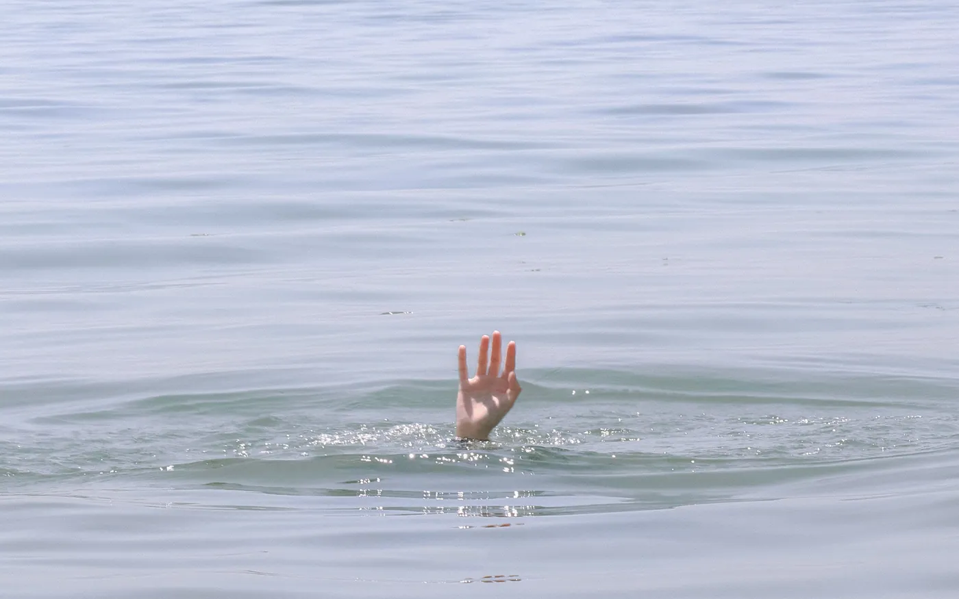 A hand raised above the surface, the simplest signal there is