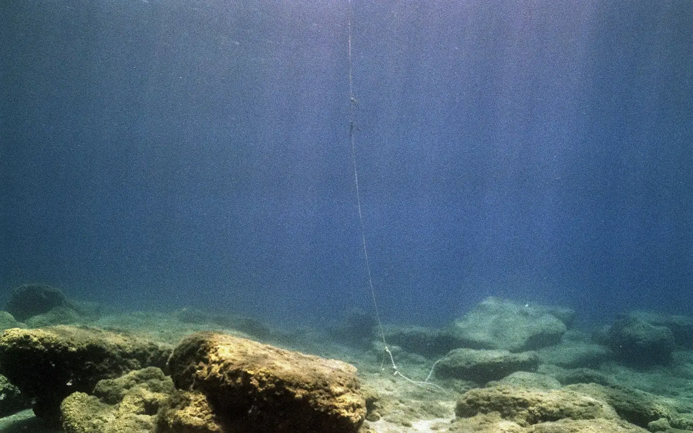 A line running across a rocky bottom in green water