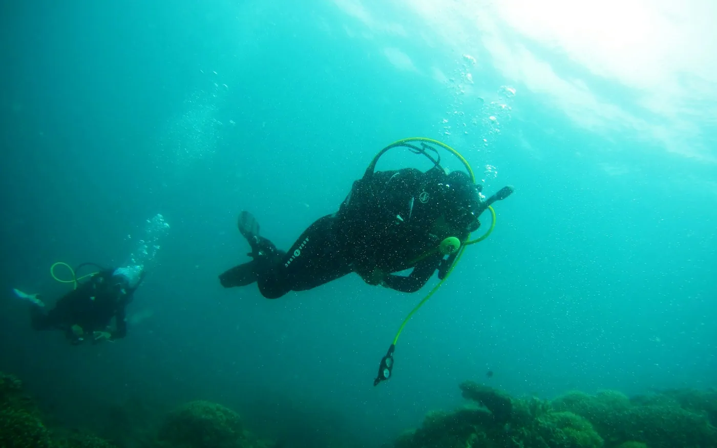 A pair of scuba divers swimming in green coastal water