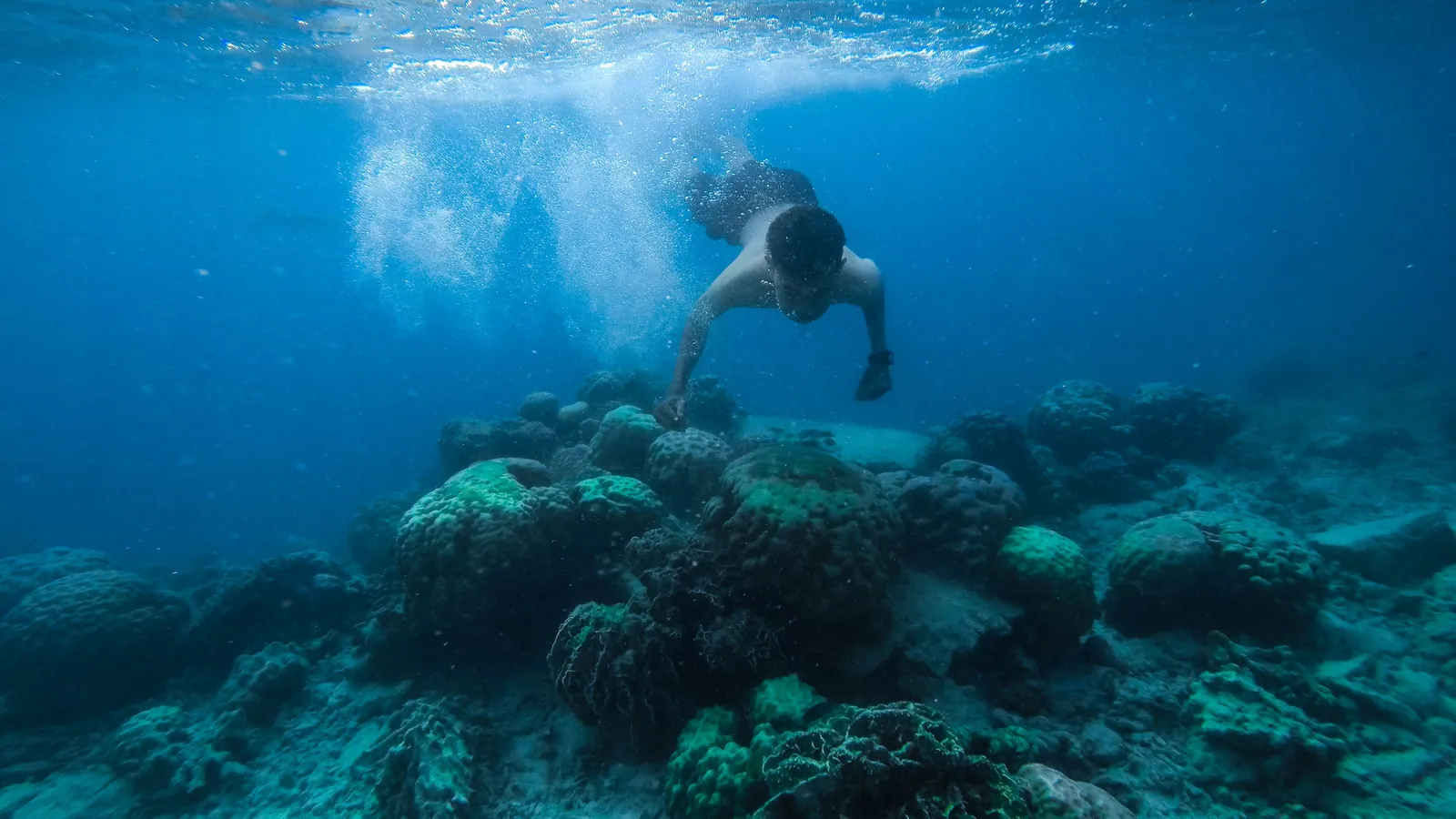 A snorkeler diving down for a closer look at a shallow reef