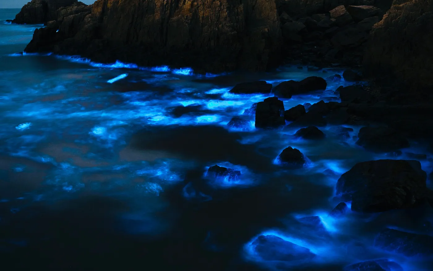 Bioluminescence glowing between rocks in a dark bay