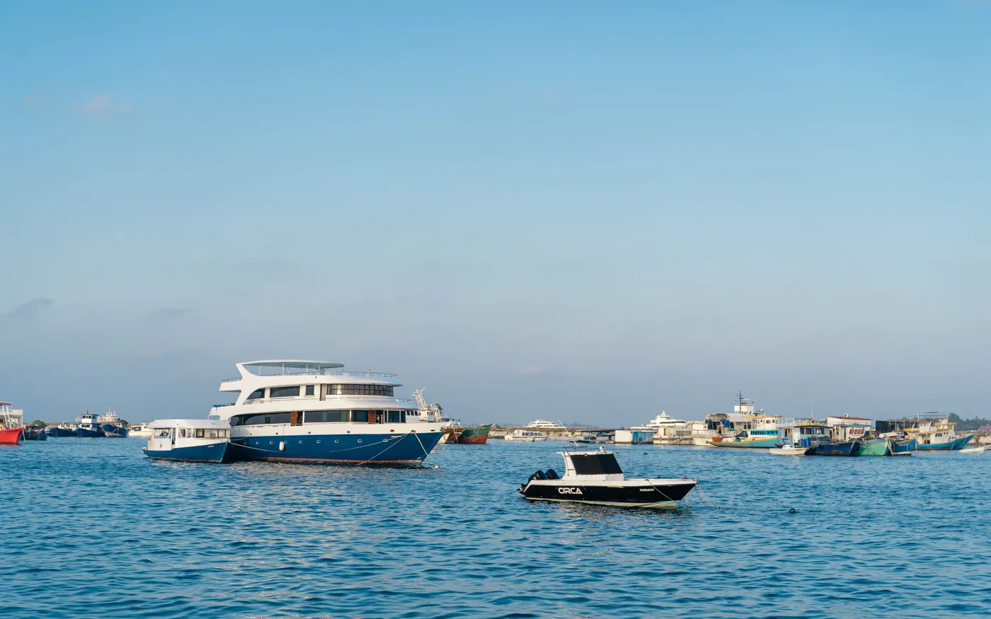 Several dive boats moored together at dusk