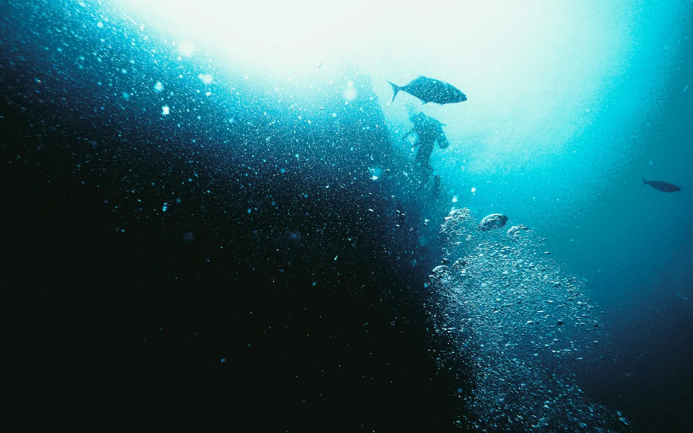 Bubbles rising through a shaft of light with fish around them
