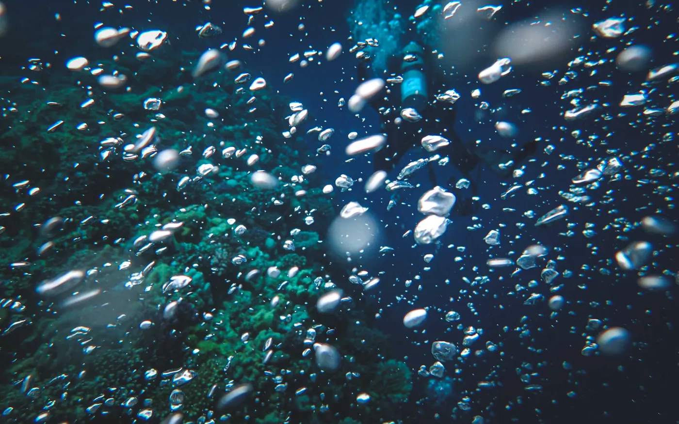 Exhaled bubbles rising through blue water