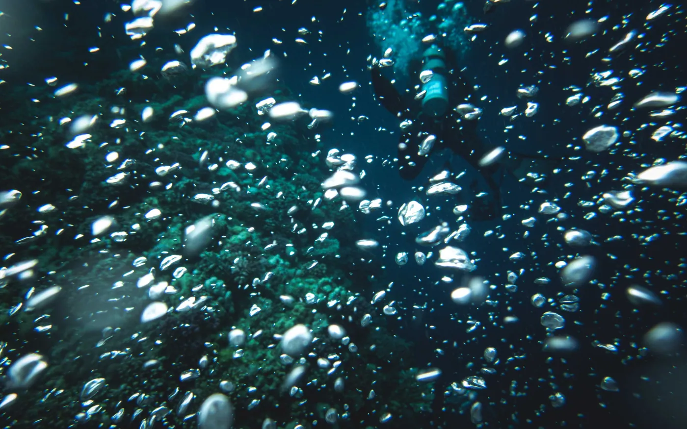 Exhaled bubbles rising through dark water