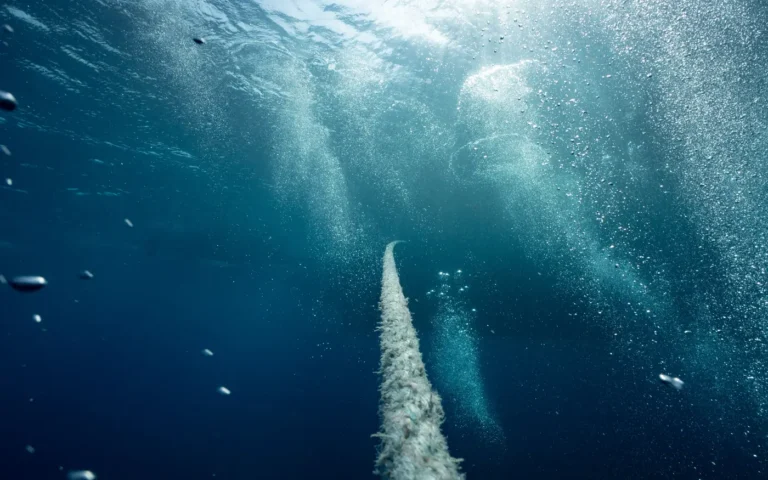 Bubbles rising toward the hull of a boat on the surface
