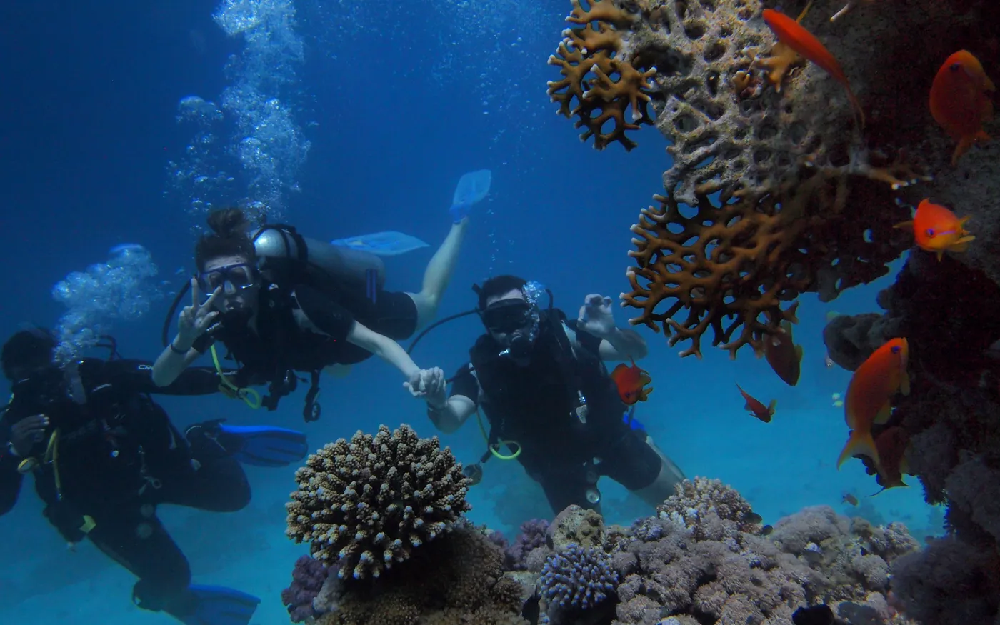 A buddy pair diving within arm's reach of each other