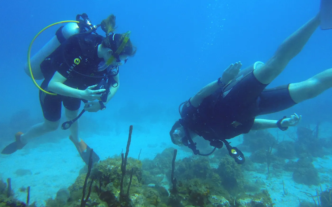 A buddy pair of scuba divers swimming side by side over a reef