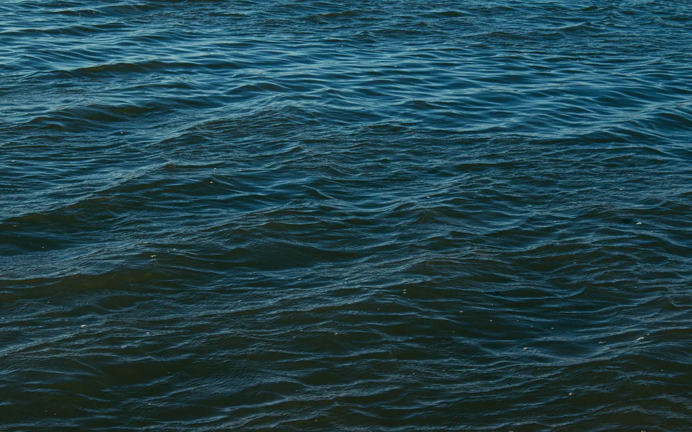 The underside of a choppy water surface