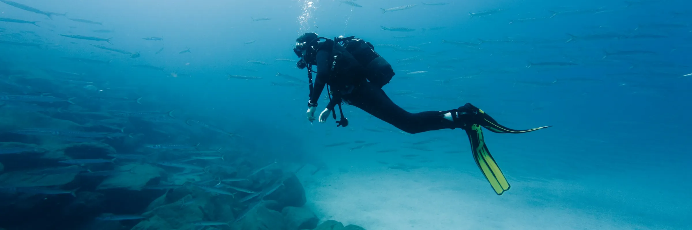 A scuba diver swimming above a pale sandy seabed in bright blue water with a school of fish behind