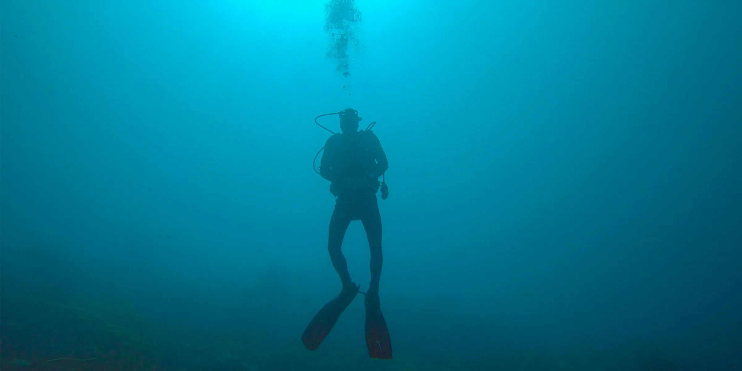 A scuba diver in full gear with cylinder and regulator hanging in mid-water, silhouetted against clear teal-blue water