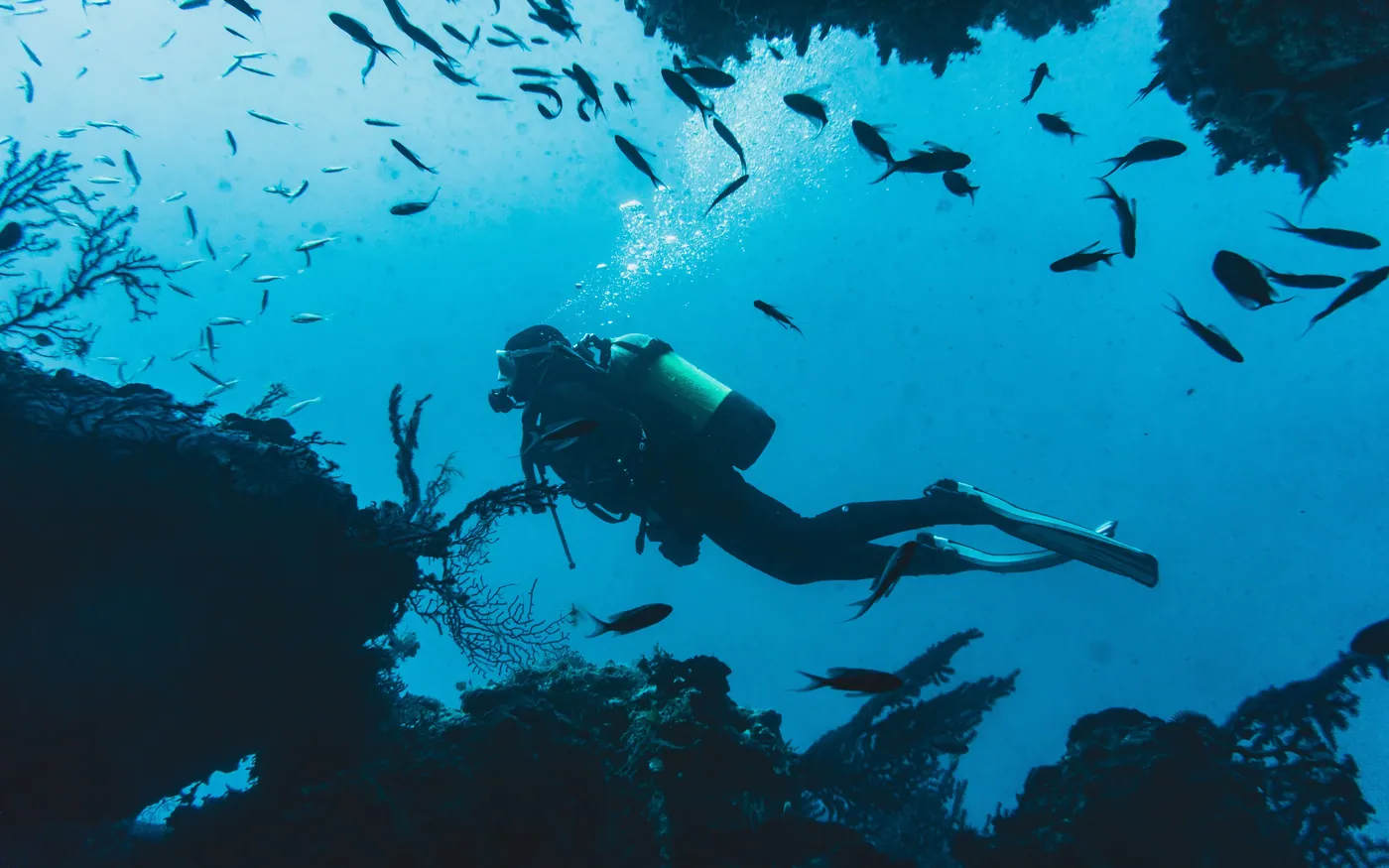 A scuba diver among schooling fish in open blue water