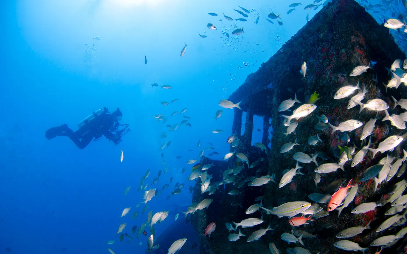 A scuba diver approaching a structure surrounded by fish in open blue water