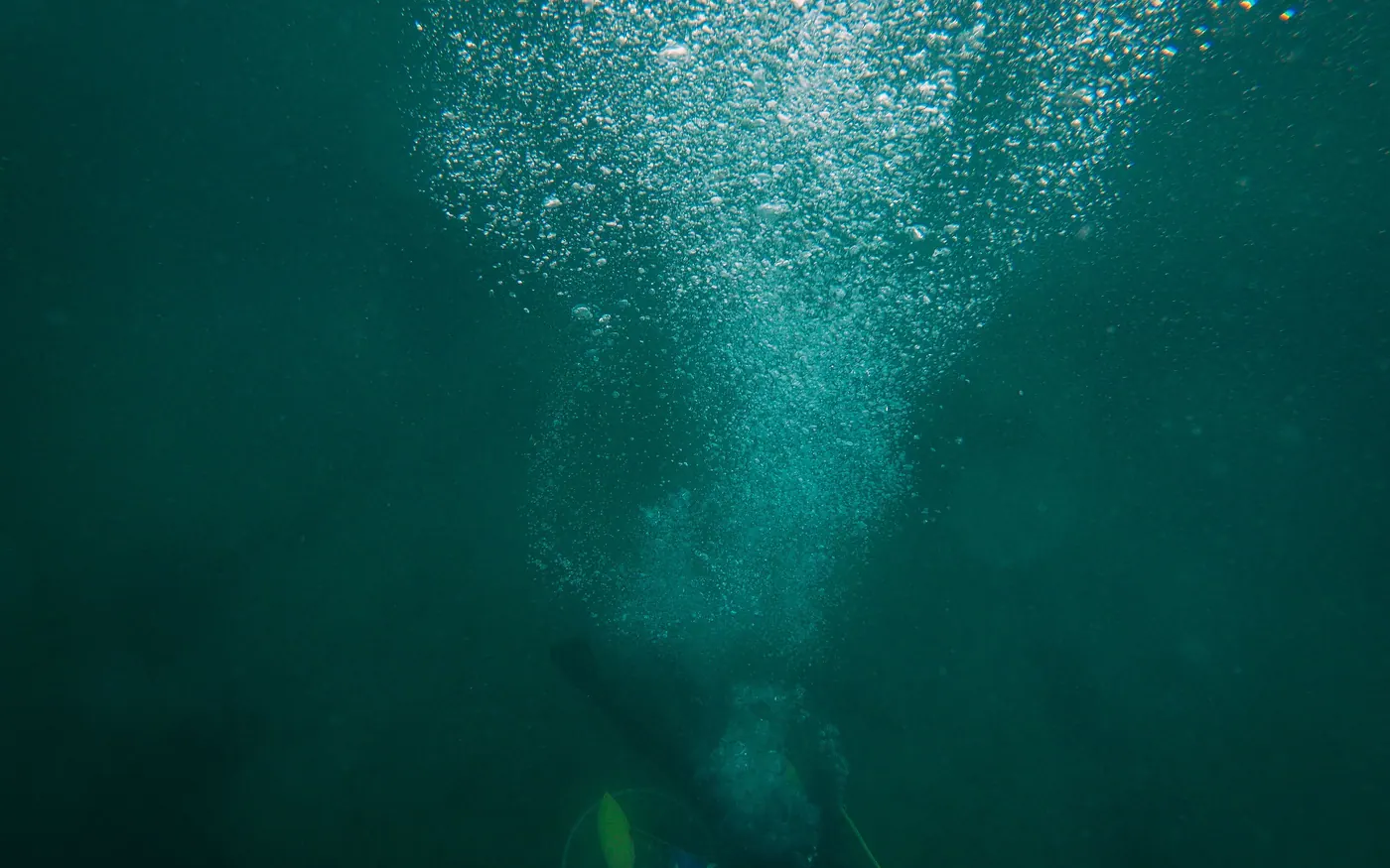 A trail of exhaust bubbles rising through green water