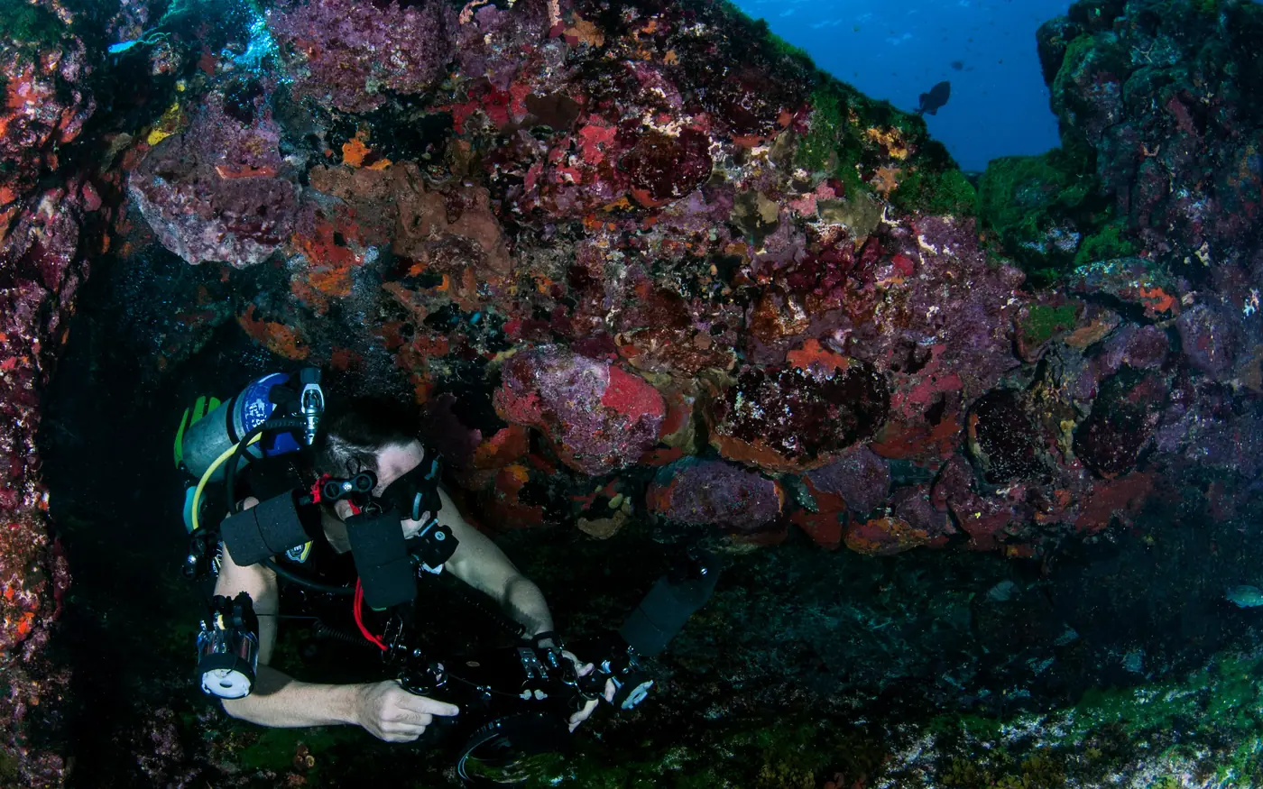 A diver staying low and close to the reef out of the flow