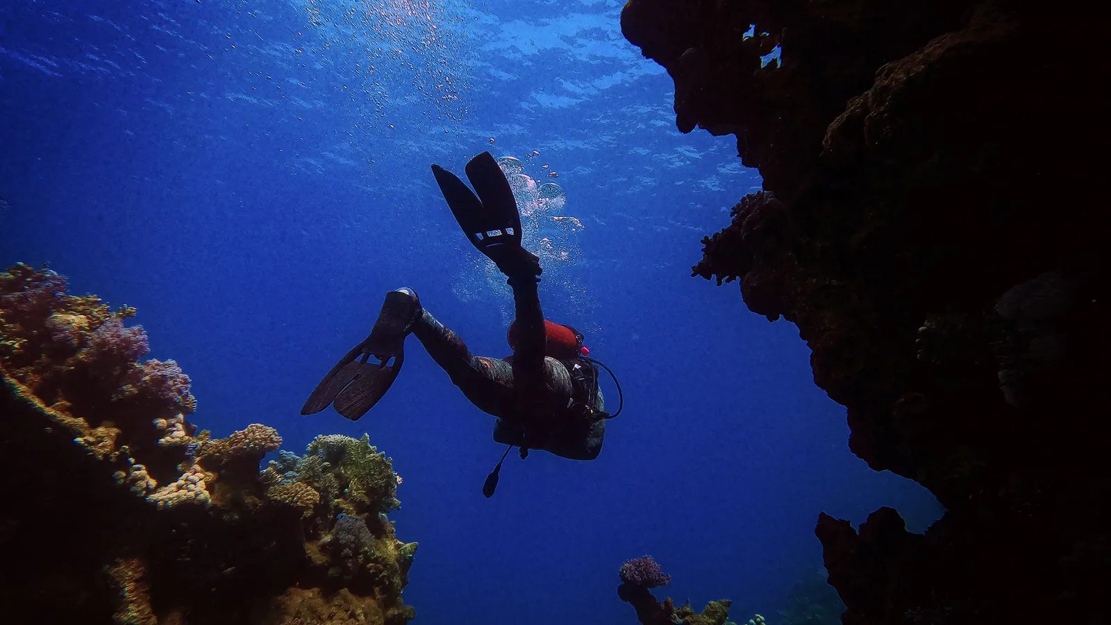A scuba diver descending along a reef wall in open blue water