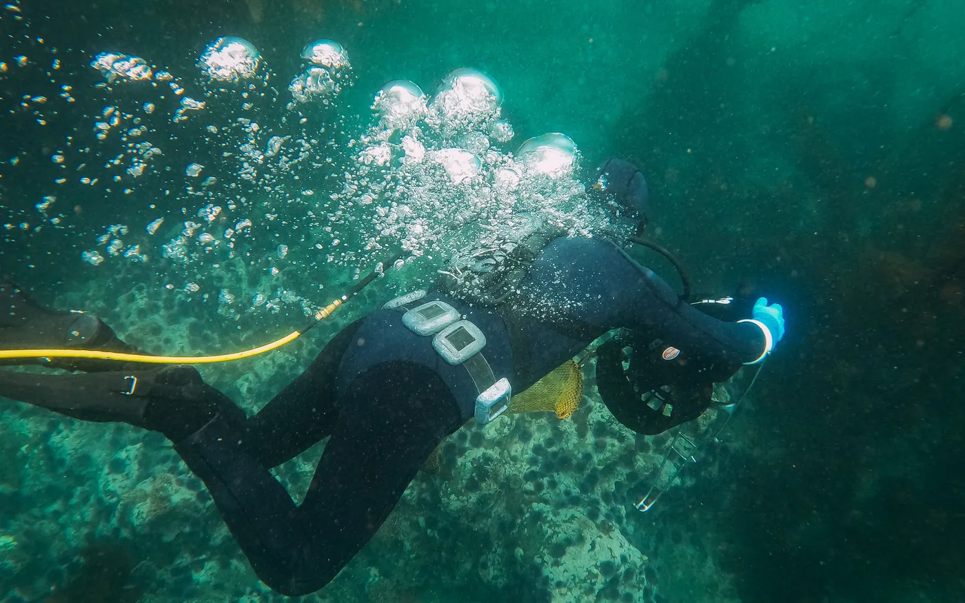 A scuba diver trailing exhaust bubbles through green temperate water