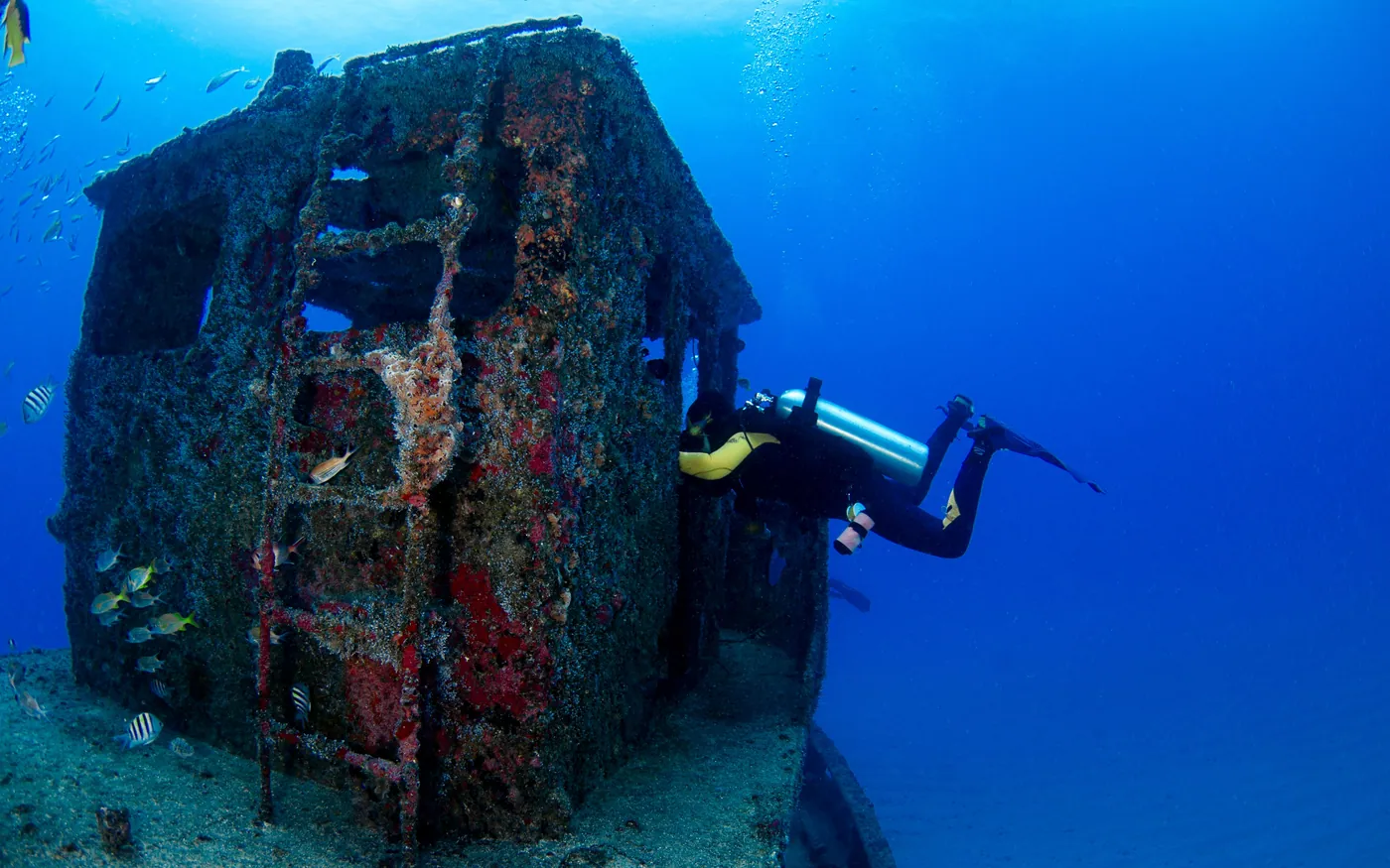 A scuba diver swimming alongside the encrusted superstructure of a shipwreck