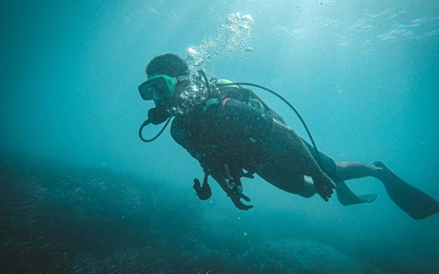 A scuba diver finning steadily above a bed of seagrass
