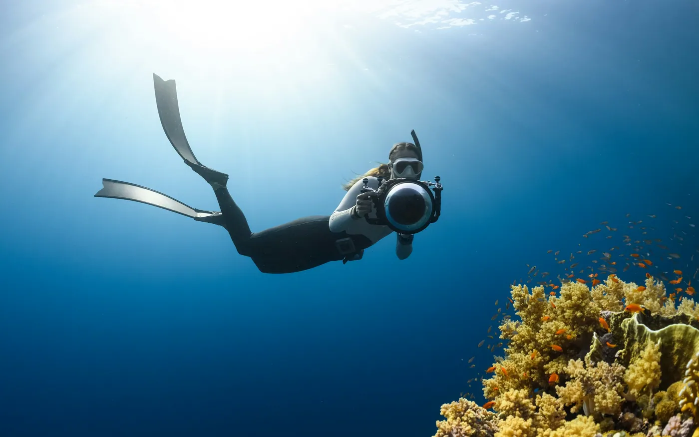 A scuba diver holding a camera while finning above a reef