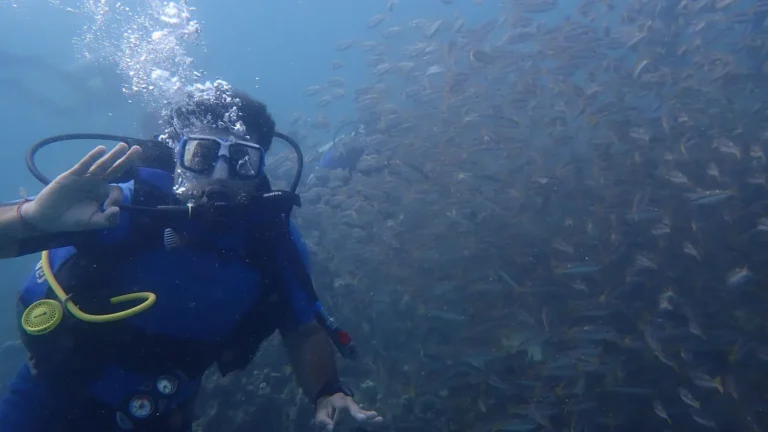 A scuba diver giving the OK signal surrounded by schooling fish