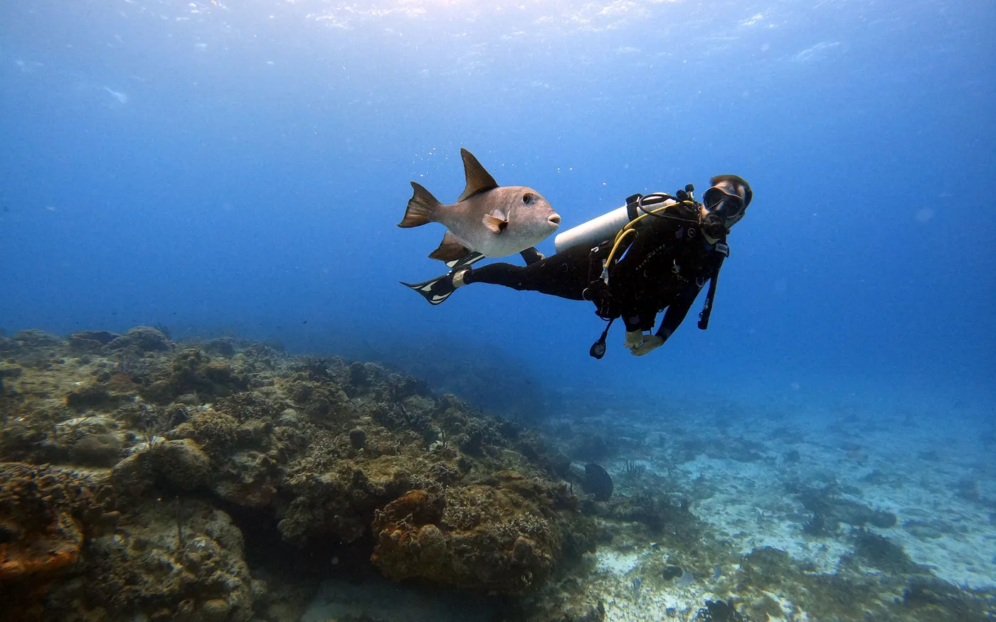 A scuba diver holding a flat, horizontal position over a reef