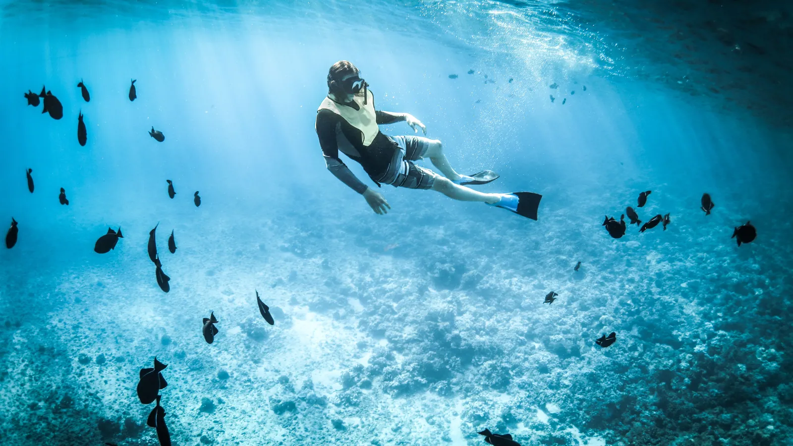 A scuba diver hovering in mid-water surrounded by small fish