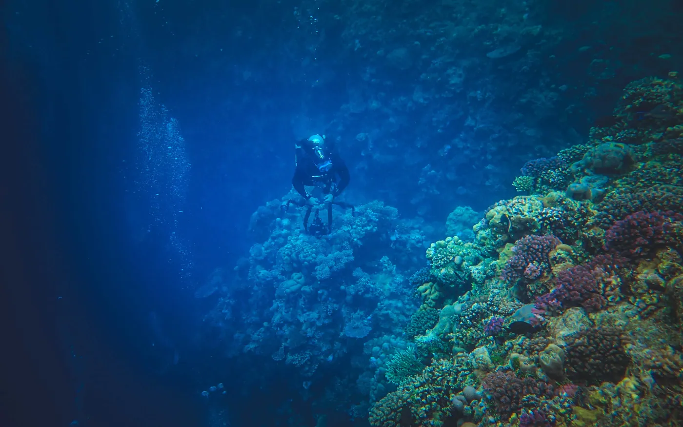A scuba diver swimming above a coral reef in clear blue water