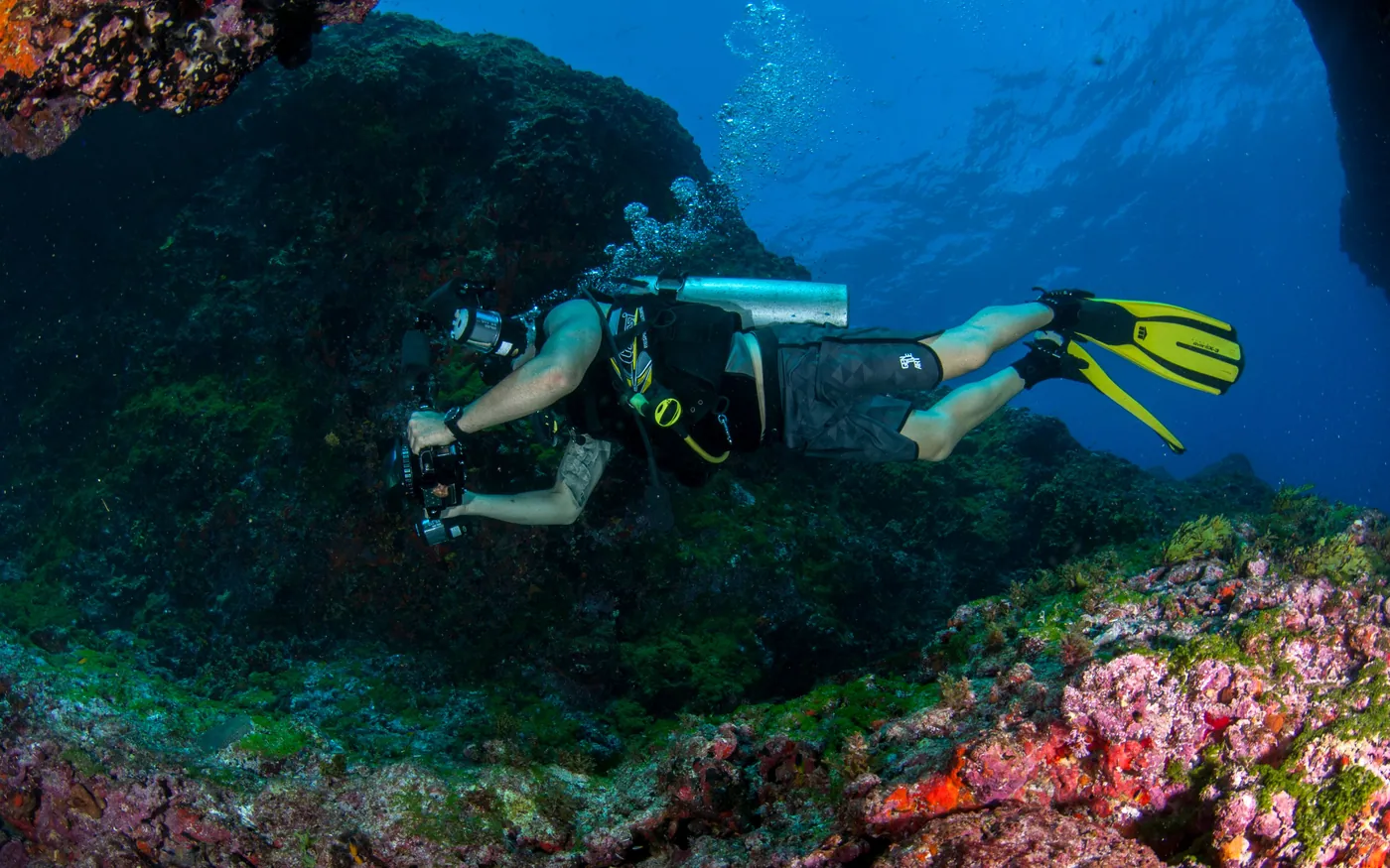A scuba diver swimming above a reef in moving water