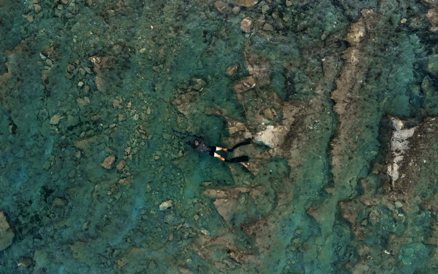 A scuba diver seen from above swimming over a rocky, weedy bottom