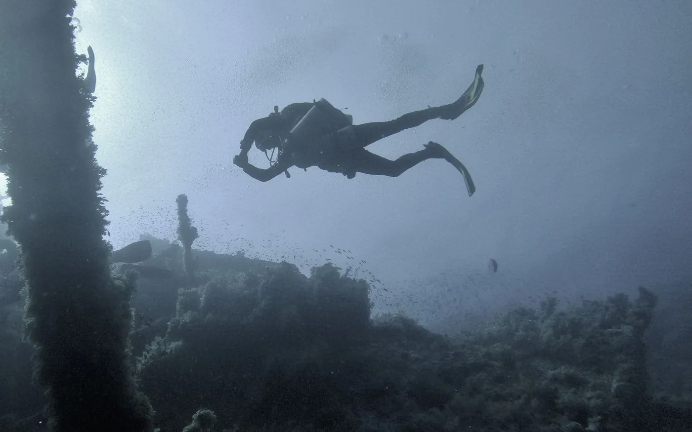 A diver silhouetted above a wreck in murky water