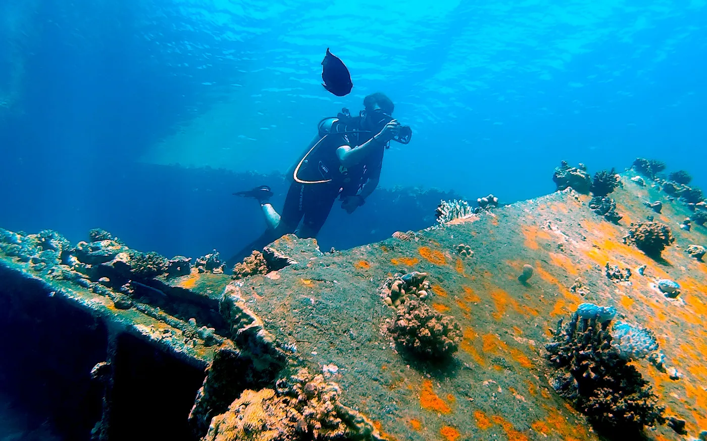 A scuba diver above a wreck thickly encrusted with orange growth