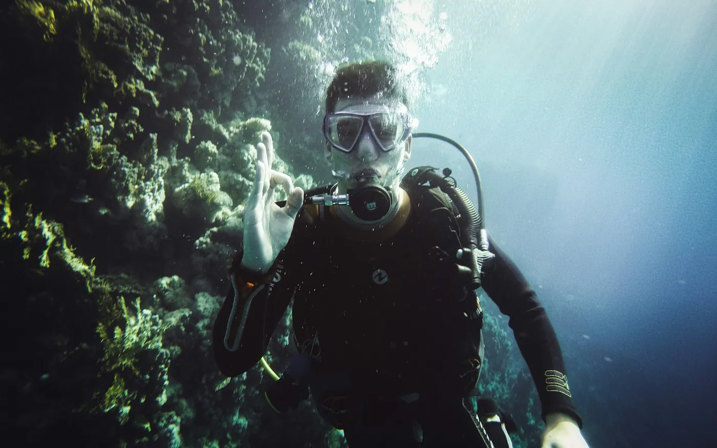 A scuba diver signalling OK while swimming through kelp