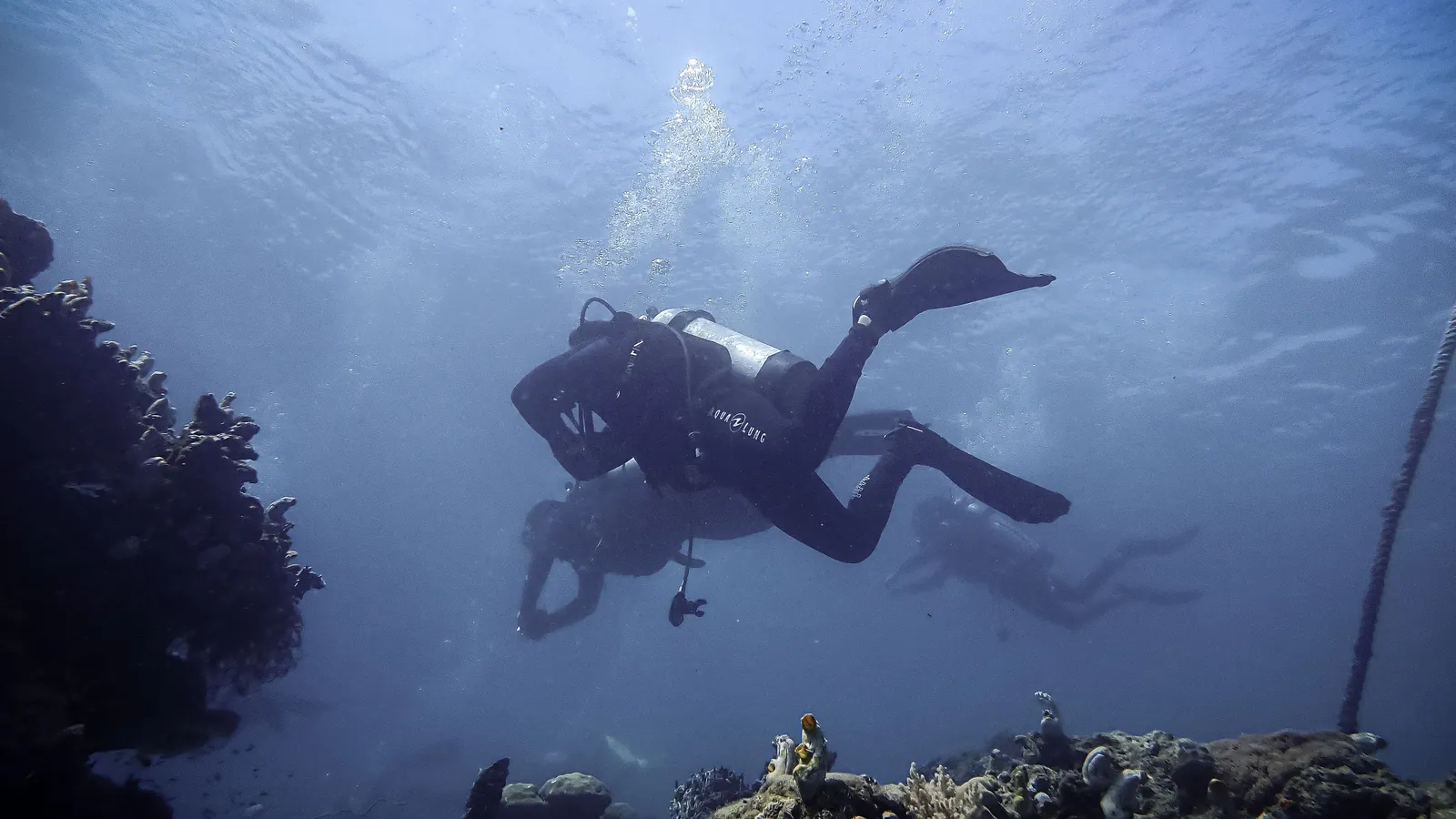 A scuba diver silhouetted in hazy, low-visibility water above a rocky bottom